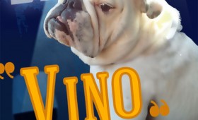 Vanity Wine Label